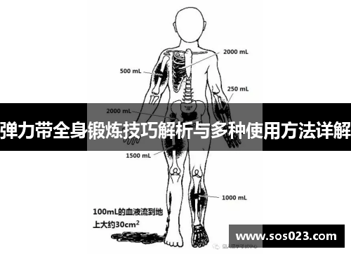 弹力带全身锻炼技巧解析与多种使用方法详解
