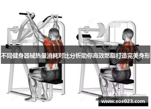 不同健身器械热量消耗对比分析助你高效燃脂打造完美身形