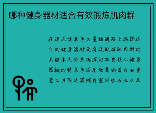 哪种健身器材适合有效锻炼肌肉群